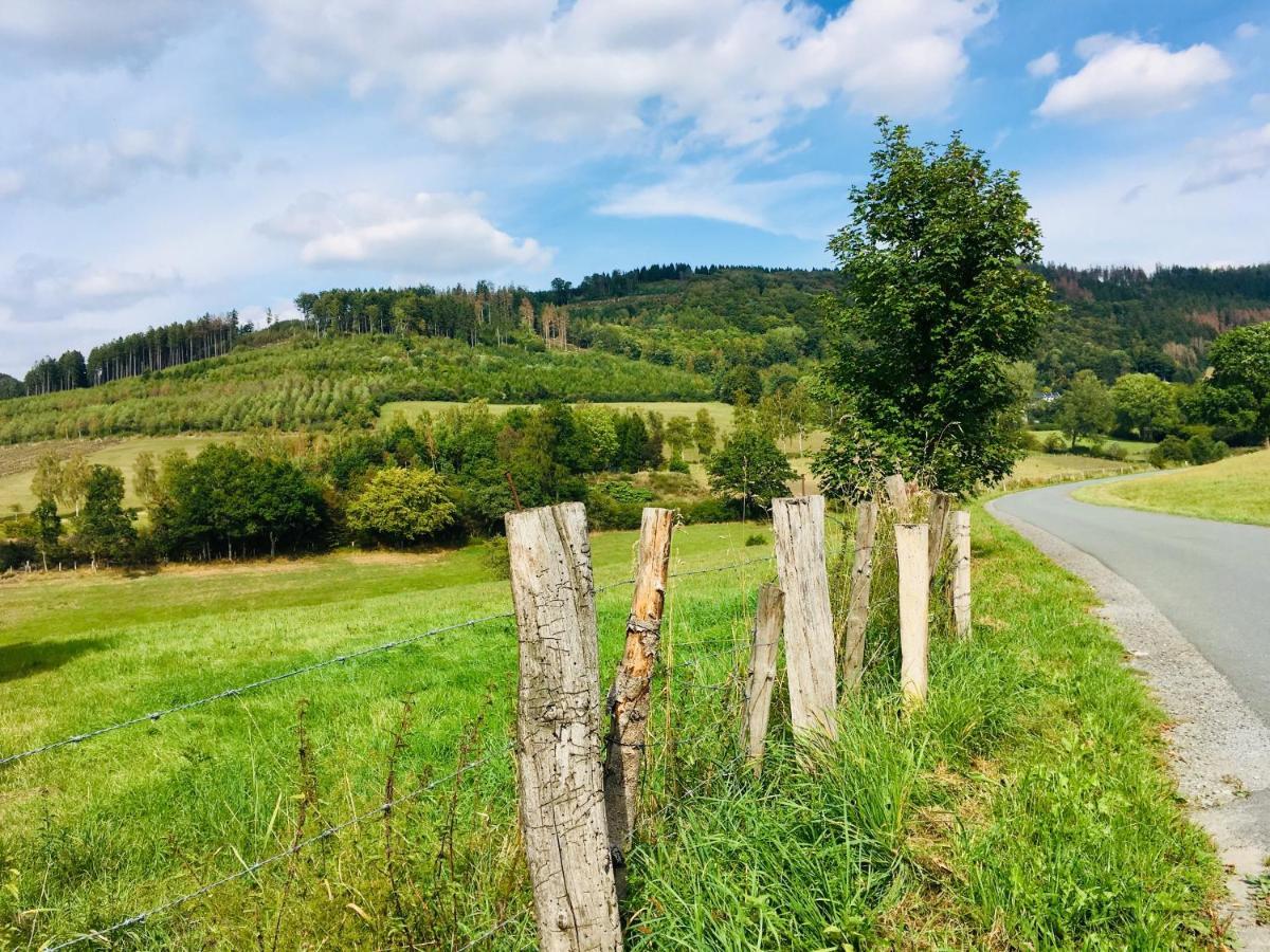 Ferienwohnung Am Pieperknapp in Olsberg Buitenkant foto