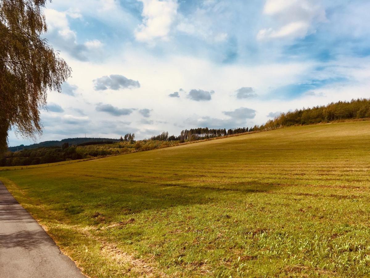 Ferienwohnung Am Pieperknapp in Olsberg Buitenkant foto