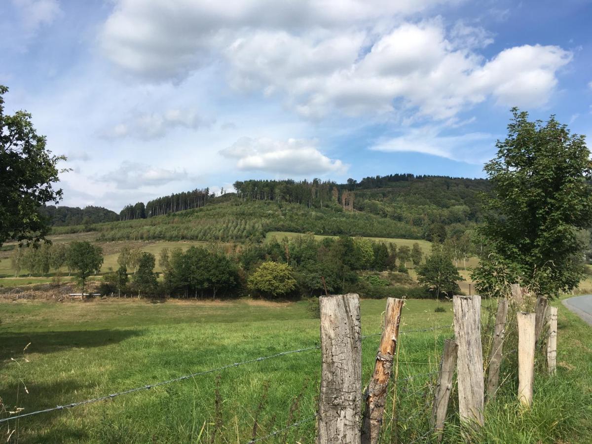 Ferienwohnung Am Pieperknapp in Olsberg Buitenkant foto