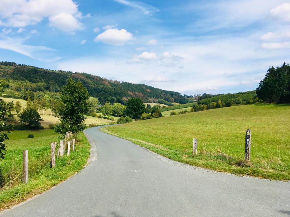 Ferienwohnung Am Pieperknapp in Olsberg Buitenkant foto